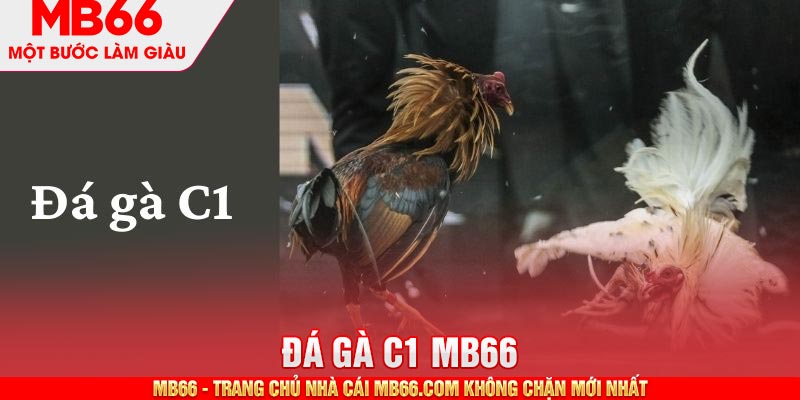 Giới thiệu về sự kiện đá gà C1