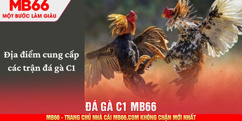Website cung cấp các trận đấu đá gà C1